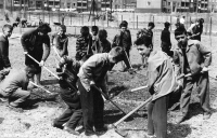 Jiří Tieftrunk (forefront, with hoe) during voluntary work