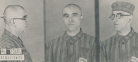 Grandfather Otakar Černý in a prison photo from Auschwitz, circa 1942