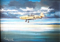 Painting of an aerobatic aircraft
