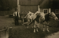 Father Robert Müller during farm work