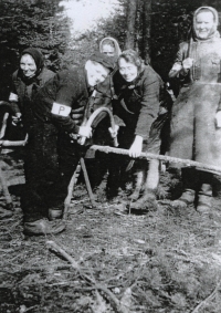 Undeported Germans from Bučnice with a P-band as a "work" while working in the forest, Walter Basler (young man)