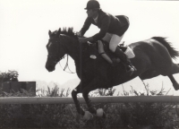 Skoky na koních, 1981