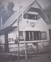 Cottage in Rozdrojovice
