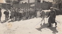 Taking cows to the coop in 1949: Viktor Novák leads a cow as primary school looks on