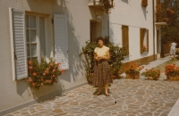 Witness in the 1990s