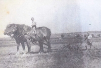 Brothers Erhard and Ewald Frey in 1943