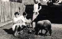 Sisters Vlasta, Růžena, and the witness's mother Marie, Šurany (Slovakia), 1930