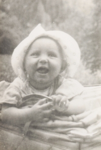 Witness in Pardubice, 1942