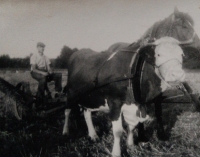 Father Ladislav Smetanka in the field before 1957, before the establishment of the JZD