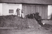 Laying manure - mother Marie Kotlandová (née Dašková) with her neighbour (left)