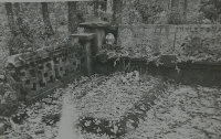 Family tomb in the forest cemetery
