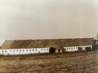 Stutenhof estate that Michael Piatti-Fünfkirchen owned in the 1990s