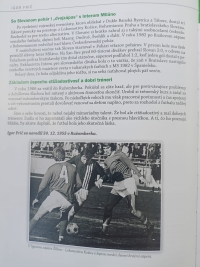 Tváre ružomberského športu II., autor Pavol Svček, Igor Frič 5