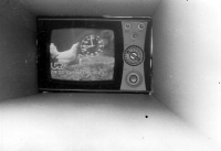 Photo of the monitor in a tube. Probably a break in the Danish TV broadcast, Rügen, late 70s/early 1980s 