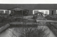 Courtyard of the farm in Zahaj, 1951