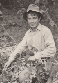 Jaroslav Janešík during hops harvest, 1968