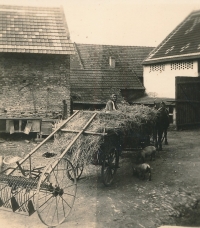 Farm in the childhood of Jaroslav Jirmus