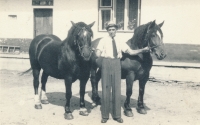 Witness´s uncle, farmer Jaroslav Šukal in 1953/54