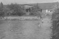 Courtyard of the farm in Zaháje, 1949/1950