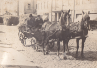 Horses were indispensable in the country. Martinovka in Volhynia, 1930s-1940s