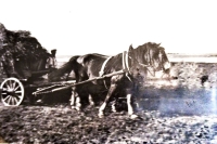 Photograph showing work in the field