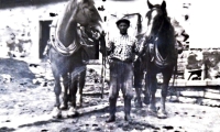 Father of Ludmila Fejtová with his horses, Fuchs and Žanda
