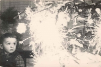 By a Christmas tree. Nyklovice 1962