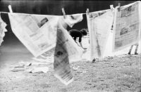 Laundering daily press, 1979