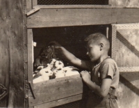 Milan Uhlíř in Žabovřesky