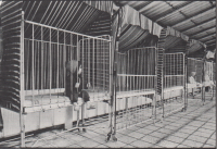 Photos from the book Workshop '88 Ašsko. Photo: Jan Schýbal from the series Children's Home