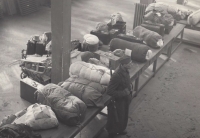 Deportation of Germans from the Nový Jičín region