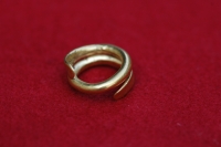 Golden earring - the oldest golden find in the Czech Republic