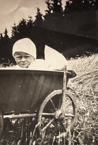Jiří Loskot, 1931, this is how his mother used to take him to work in the fields