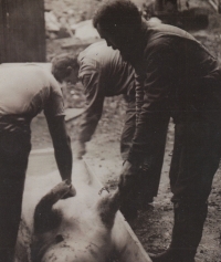 Pig killing in Malechov, 1980s