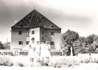 A community of sisters taking a walk