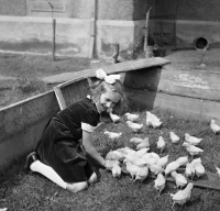 Jitka Havránková's sister Alena with chickens in the enclosure near the mill villa