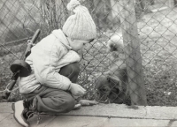 David Aust Vedral, 1970s