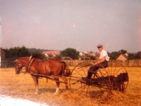 Witness's uncle Antonín Cír, 1950s