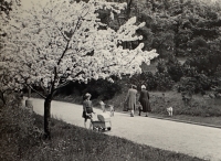 Ivanka Fišerová in Stromovka, 1953 (photo father)