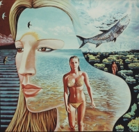 A sample of images that Abraxas projected at concerts