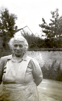 Grandmother Karolína Moravcová from Žirovnice, 1954