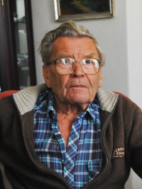 Josef Štamfest in 2011