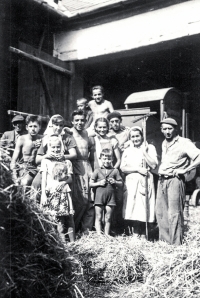 Threshing grain in the barn at Marie Volovska's family home in Jamnice No. 32. The witness is standing in the middle of the picture between two men, on the far right is her father František Kleibel, 1952