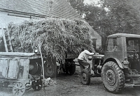 Work on the farm