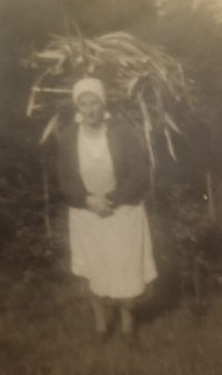 Aloisie Knedlhansová, Svatava