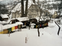 Karel Kocourek's bee colonies