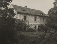 Witness's uncle's farm, 1990s