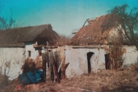 Farm of the family of František Nestával in Sviny, state in 1991