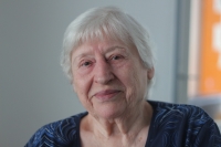Marie Svobodová, terénní reportáže, Velké Meziříčí, květen 2026