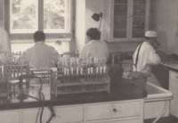 At work in the Veterinary Research Institute; 1959